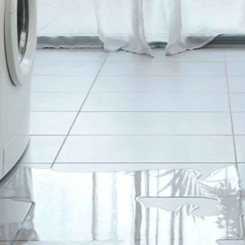 Appliance Leak Cleanup in Cardington, OH