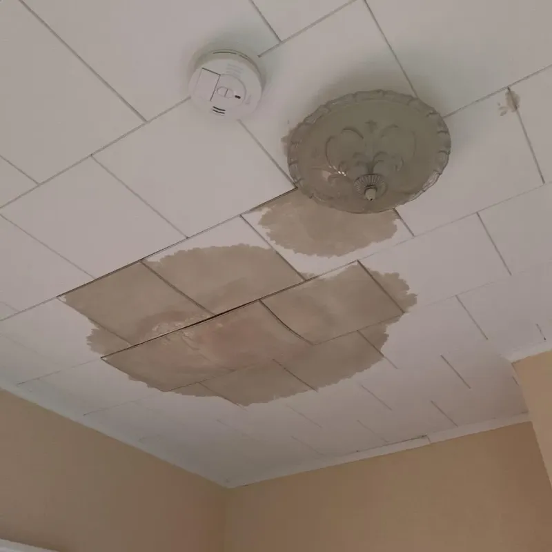 Ceiling Water Damage Repair in Cardington, OH