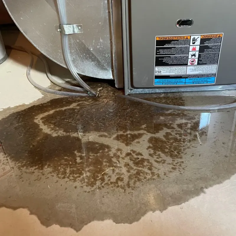 Pipe Burst and Leak Restoration in Cardington, OH