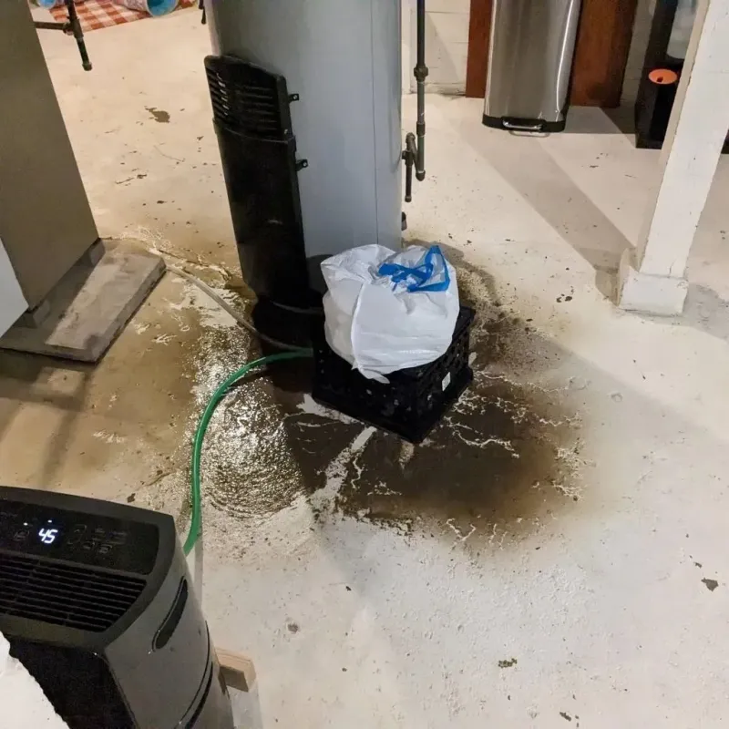 Sewage Backup Cleanup Service in Cardington, OH